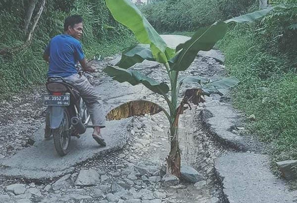 warga_kecamatan_stm_hulu_tanam_pisang_di_jalan_rusak