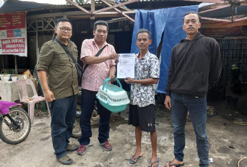 warga_langkat_tebus_2_ekor_kukang_dan_serahkan_ke_bksda_sumut
