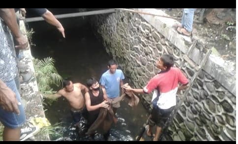 warga_medan_heboh_temukan_ular_sanca_di_parit_besar