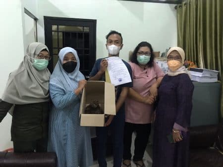 warga_medan_serahkan_sepasang_anak_kucing_kuwuk_ke_bksda_sumut