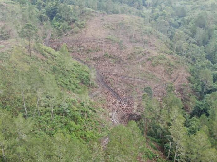 warga_merambah_hutan_di_humbahas_pj_gubsu_minta_diselidiki