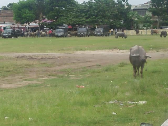 warga_minta_kembalikan_fungsi_lapangan_balige
