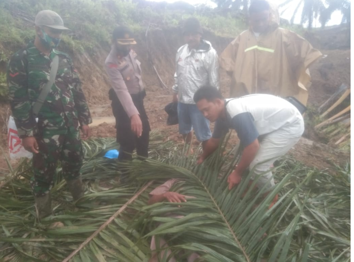 warga_nagori_tangga_batu_meninggal_tertimpa_pohon_sawit_milik_ptpn_iv