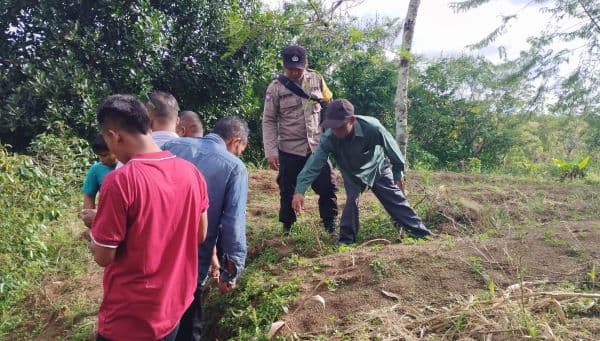 warga_panji_dabutar_dairi_dihebohkan_penemuan_jejak_kaki_harimau