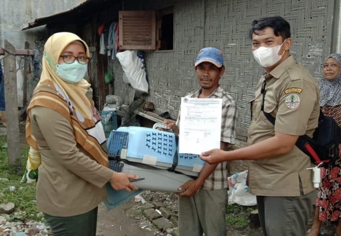 warga_setia_budi_serahkan_kucing_hutan_ke_petugas_bksda_sumut