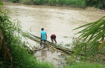 warga_tebing_tinggi_manfaatkan_bambu_tumbang_untuk_buat_kerambah