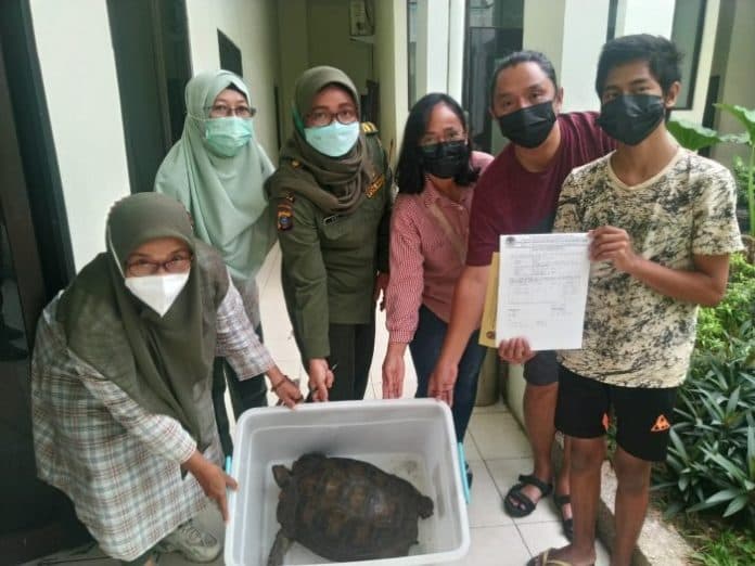 warga_tuntungan_serahkan_baning_coklat_ke_bksda_sumut