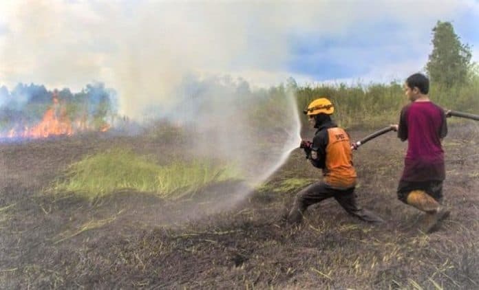 waspada_karhutla_di_kalimantan_selatan_sudah_ratusan_hektare