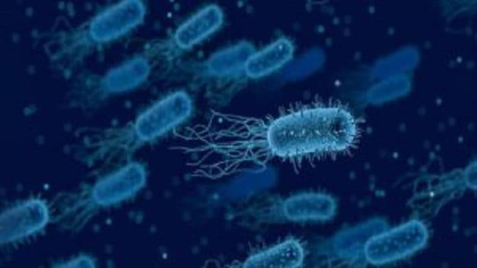 waw_bakteri_ini_tahu_cara_untuk_tidak_tercuci