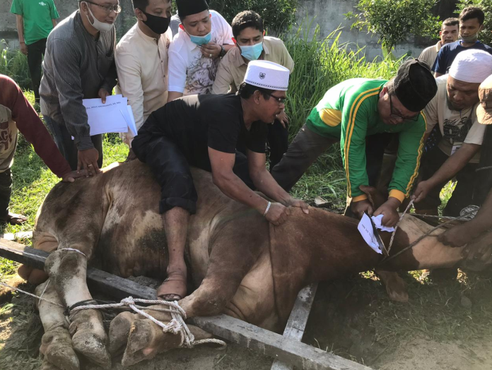 wujud_syukur_kabaharkam_polri_serahkan_sapi_kurban_ke_pwnu_sumut