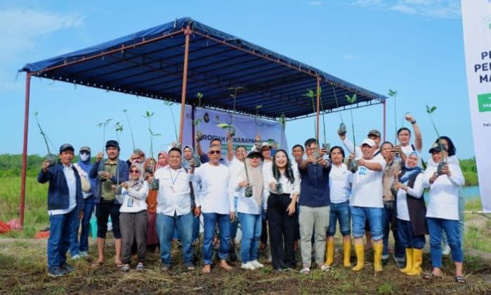 yayasan_artia_sipaha_sada_dan_ecoeducare_tanam_37500_bibit_mangrove