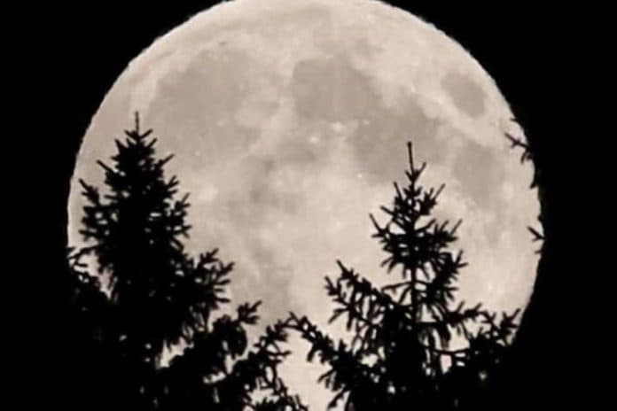 yuk_lihat_fenomena_perigee_sore_ini_bulan_tampak_lebih_besar