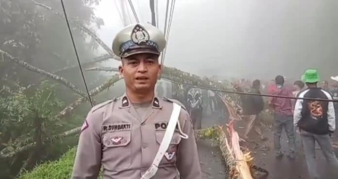 breaking_news_jalur_medan_tanah_karo_terganggu_akibat_pohon_tumbang_di_desa_daulu