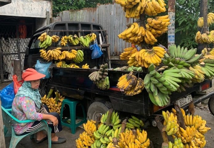 ibu_pensiunan_ini_jualan_pisang_awalnya_ditentang_kini_omzet_nya_lumayan