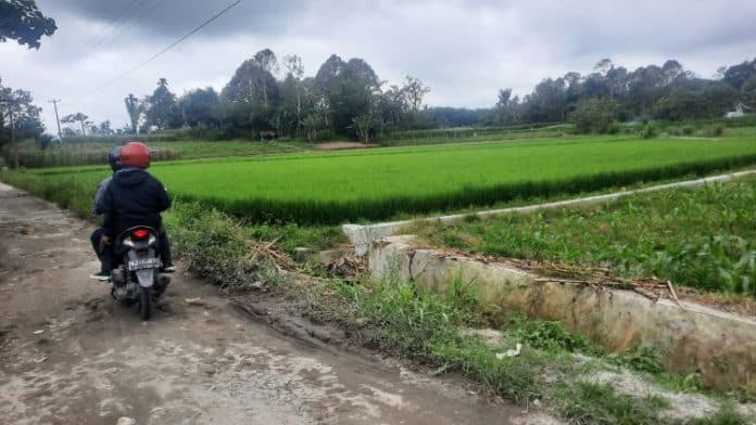 kenaikan_hpp_gabah_disambut_positif_petani_simalungun_harapkan_pengawasan_ketat