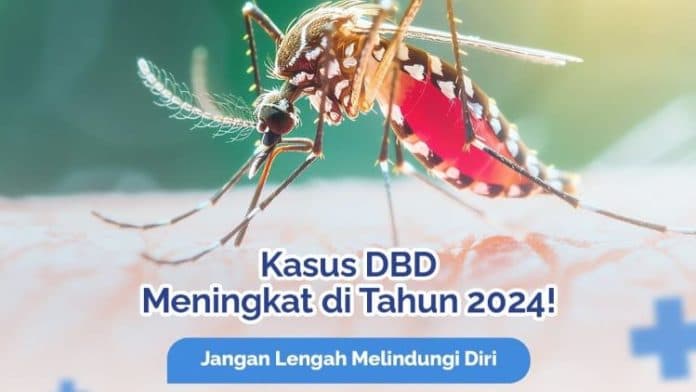 meningkat_dua_kali_lipat_kasus_dbd_sumut_capai_8963_tahun_2024