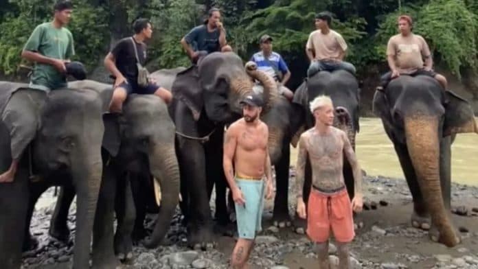 periode_januari_november_2024_kunjungan_wisman_ke_sumut_capai_229013_orang