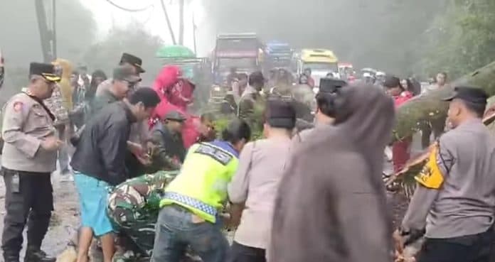pohon_tumbang_di_desa_daulu_sudah_dievakuasi_jalan_bisa_dilalui