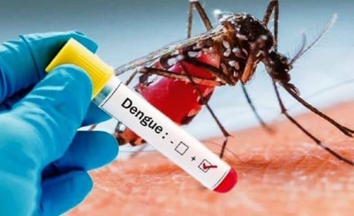 status_klb_malaria_dan_dbd_kembali_diperpanjang_di_nisel_ini_alasannya